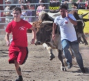 the 2012 Cave Creek Running of the Bulls